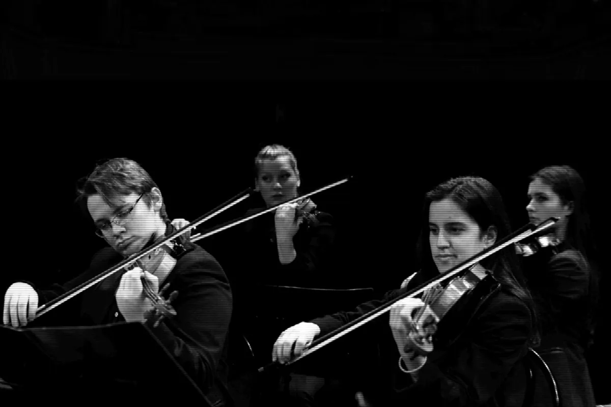 The orchestra’s violinists close up, bows in motion